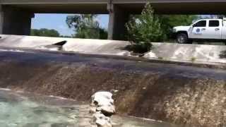 Nueces River at State Highway 55 [upl. by Eegnat]