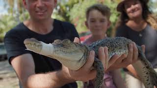 Get snappy and plan a visit to Koorana Crocodile Farm [upl. by Suqram]