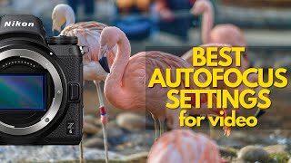 BEST Nikon Z6 Autofocus SettingsZ6IIZ7Z7II [upl. by Darbie]