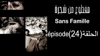 MA9TOU3 MEN CHAJARA SANS FAMILLE Épisode مقطوع من شجرة الحلقة 24 [upl. by Bartko]