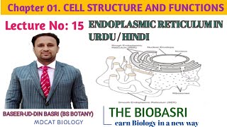 Endoplasmic Reticulum structure and Functions in Urdu Hindi [upl. by Greyso]