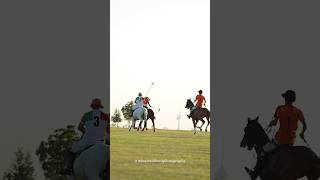 Beautiful short video of polo match😍🏇❤️shorts horse polo horselife equestrian [upl. by Dalenna341]