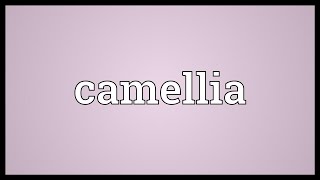 Camellia Meaning [upl. by Namlak]