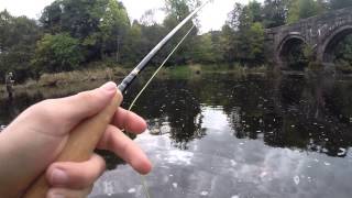 Grayling on the dry fly [upl. by Covell]