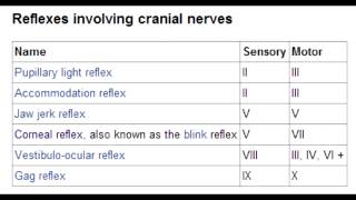 Cranial Nerve Reflexes  Corneal Lacrimation Jaw Jerk Pupillary amp Gag [upl. by Jonme]