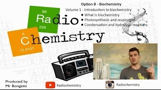 Option B Biochemistry  Introduction to biochemistry [upl. by Caton]