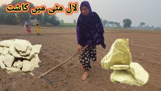 Lal Mitti Main Kast KarnaPak Village Family4Pak Village Family [upl. by Harelda136]