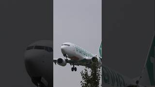 Transavia 737 SUPER Closeup🤩 [upl. by Irrot921]