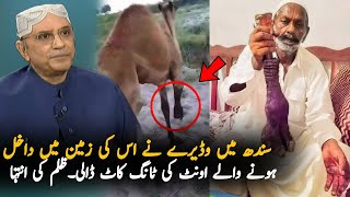 What Happen In Sindh During These Eid Days  Bakra Eid 2024  Eid Latest Video 2024 [upl. by Nimrac]