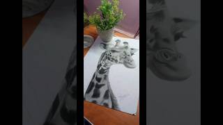 Animal Sketch portrait sketchgallery youtube youtubeshorts sketchportrait shorts art artist [upl. by Fafa334]