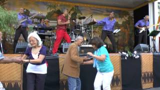 The Entertainers amp Ben Heart  Pasar Malam Dordrecht 27 augustus 2013  quotPretendquot [upl. by Okiruy]