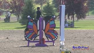 442S Alexandra McBride on Peter Parker SR Novice Show Jumping Rebecca Farm July 2023 [upl. by Wie210]