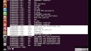 SecurityTubenet Writing an Custom Insertion Encoder [upl. by Wescott]