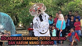 Kolaborasi Rampak Barong Gembong Putro Ngelono feat Harum Wangi Budoyo Live Di Batu 9 Klenteng [upl. by Phillie319]