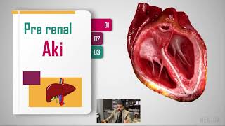 Acute Kidney Injury AKI  prerenal intrarenal and postrenal causes and pathophysiology [upl. by Meesaw]