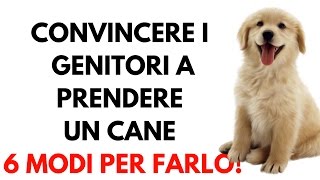 Convincere i genitori a prendere un cane 6 modi per farlo e i motivi per non farlo [upl. by Homere]