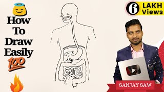 How to Draw Human Digestive System step by step for Beginners [upl. by Palermo]