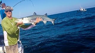 How To Safely Catch and Release HUGE Barracuda [upl. by Cavill]