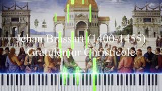 Johannes Brassart  Gratulemur Christicole [upl. by Alacim]