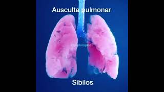 Ausculta pulmonar sibilos [upl. by Anastice]