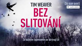 Tim Weaver  Bez slitování  Audiokniha [upl. by Sixel]