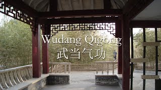 Wudang Qigong Foundation Set 2 [upl. by Jo-Anne]