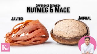 Difference between Javitri amp Jaiphal जावित्री जैफल में फरक Mace amp Nutmeg  Kunal Kapur Indian Spices [upl. by Isa578]