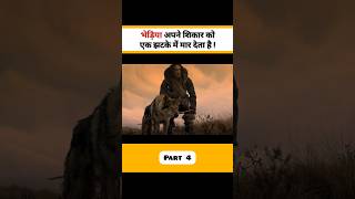 भेड़िए जंगल में कैसे शिकार करते है 🤯 । Movie  Alpha [upl. by Areema]