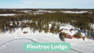 Pinetree Lodge  Inneke  Nordic  De Scandinaviëspecialist [upl. by Naggem]