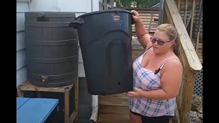 DIY Rain Barrel Setup for purchased and Homemade Rain Barrel [upl. by Cottle241]