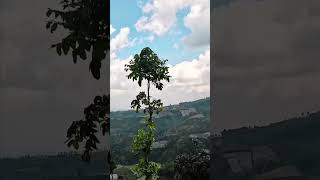 Curug Surodipo saat langit sebelah kanan membirusebelah kiri mendung gelap [upl. by Amalburga]