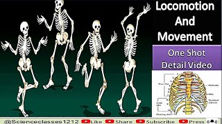 Human Physiology Locomotion amp movement Skeleton amp Muscle system one shot NeetampBoards by Saurabh sir [upl. by Ronaele327]