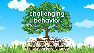 3 Possible Roots of Challenging Behavior in Young Children [upl. by Innig]