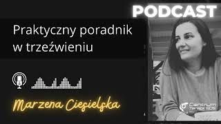 20 👉 Praktyczny poradnik w trzeźwieniu jak wytrwać w abstynencji [upl. by Auqinal]