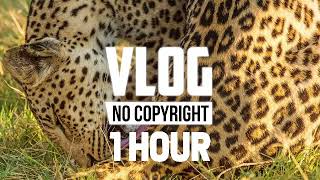 Vlog 1 no copyright free 1 hour se complete 💯 4000watchtime [upl. by Adiesirb267]