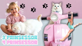 VI KÖPER EN KATTUNGE🐾🫶🏻  3prinsessor VLOGG💕 [upl. by Horgan]