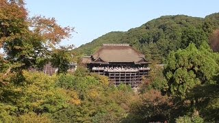 京都 紅葉前の清水寺、時代祭、宮川町の舞妓さん （1） Kiyomizu temple Era festival and Maiko of Gion at Miyagawacho Kyoto [upl. by Anitsirhcairam610]