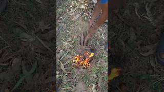 Bushcraft Skills underground bushcraft survival camping outdoor forest useful [upl. by Petras]