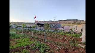 Sıfır Araziden Ciflik Evi Yapımı [upl. by Ihsorih465]