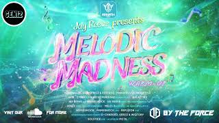 Jay Reeve Pres MELODIC MADNESS 2 WarmUp  By The Force  Euphoric Hardstyle 2024 [upl. by Breskin127]