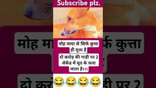 funny chutkuley animaljokes comedy chutkulle dogjokes dog jokes [upl. by Ennaerb]