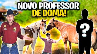 CONTRATEI UM PROFESSOR DOMA PARA DOMAR AS ÉGUAS [upl. by Nickolas]