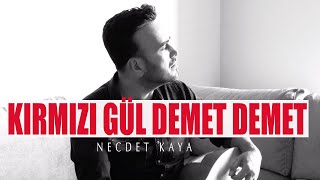 Necdet Kaya  Kırmızı Gül Demet Demet Akustik [upl. by Eniamzaj113]