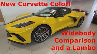 New C8 Corvette Color Widebody Comparison and a Lambo [upl. by Llertnac586]