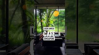 When Coffee meets Lush Jungle plants garden landscaping [upl. by Esya]