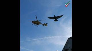 Rettungshubschrauber landet in Innenstadt RTH Landung Christoph 25 DHXCE [upl. by Nohsed538]