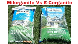 Milorganite Vs ECorganite  Which is Better [upl. by Estevan]