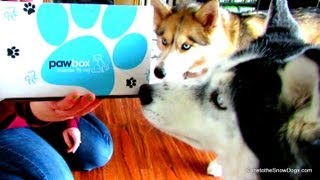 OAKLEY DONT EAT THAT  PawBox Unboxing 3 [upl. by Airdnek]