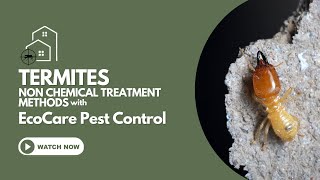 EcoCare Pest Control Termite Control  Non Chemical Treatment Methods [upl. by Whit72]