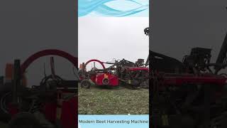 Modern Beet Harvesting Machine – High Efficiency and TimeSaving [upl. by Garap]